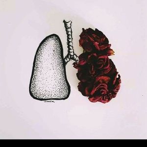 Meet your Posher, Perla